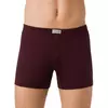 Трусы мужские diwari basic mbx 101 bordo, 17С-338ТСП, 78,82/S, DIWARI,  - 1