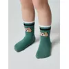 Носки детские tip-top 984 зеленый, 5С-11СП, 14, CONTE-KIDS,  - 3