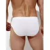 Трусы мужские слипы бесшовные omsa omb 2225 viscose vi bianco, , 50 (XL), OMSA, - 2