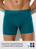 Мужские трусы «боксеры» bamboo omsa omb 1250 oceania, , 50 (XL), OMSA, - 1