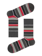 Носки мужские diwari happy 056 серый-бордо, , 40-41 (25), DIWARI, - 1
