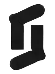 Хлопковые мужские носки esli 000 черный, , 40-42 (25-27), ESLI, - 1
