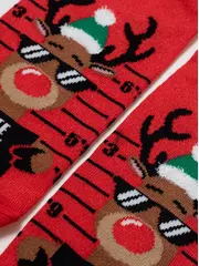 Носки мужские новогодние diwari new year 551 красный, , 42-45 (27-29), DIWARI, - 2