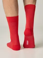 Мужские новогодние носки diwari new year 629 красный, , 42-45 (27-29), DIWARI, - 2