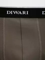 Мужские трусы шорты diwari msh 2147 khaki, , 110,114/XXL, DIWARI, - 2