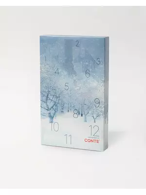 Подарочный набор женских носков (6 пар) conte 823 ассорти, , 36-39 (23-25), CONTE ELEGANT, - 1