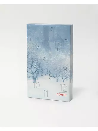 Подарочный набор женских носков (6 пар) conte 823 ассорти, , 36-39 (23-25), CONTE ELEGANT, - 1