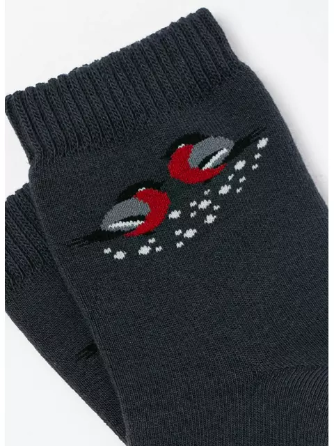 Носки женские махровые arctic 1408 брестские 600 т.серый, 15С1408, 38-39 (25), БРЕСТСКИЕ,  - 4