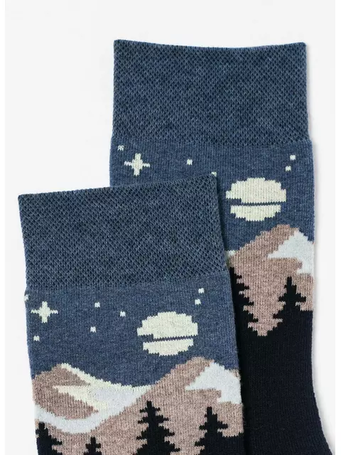 Носки мужские махровые arctic 2424 брестские 476 т.синий, 18С2424, 40-41 (25), БРЕСТСКИЕ,  - 3