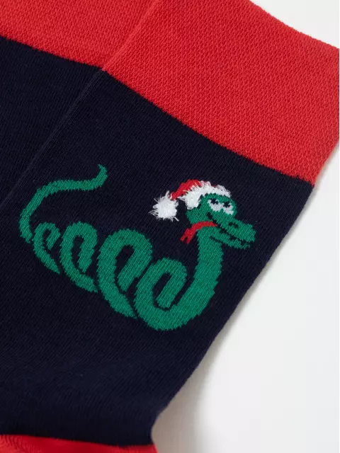 Мужские новогодние носки diwari new year 210 темно-синий, 19С-90СП, 42-45 (27-29), DIWARI,  - 5