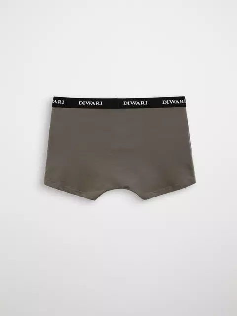 Мужские трусы шорты diwari msh 2147 khaki, 20С-1076ТСП, 86,90/M, DIWARI,  - 3