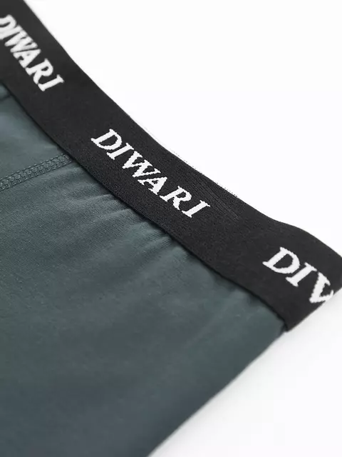 Трусы мужские diwari basic men msh 2147 dark forest, 20С-1076ТСП, 110,114/XXL, DIWARI,  - 2