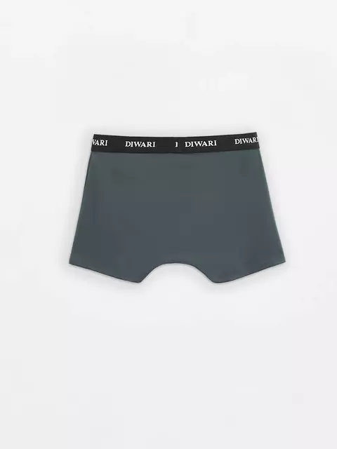 Трусы мужские diwari basic men msh 2147 dark forest, 20С-1076ТСП, 110,114/XXL, DIWARI,  - 3