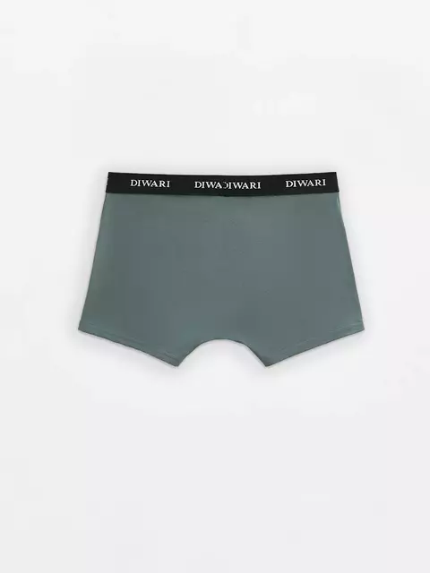 Трусы мужские diwari basic men msh 2147 stormy green, 20С-1076ТСП, 102,106/XL, DIWARI,  - 3