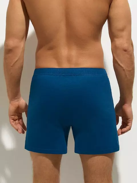 Мужские трусы-боксеры omsa omb 1243-1 blu, , 52 (2XL), OMSA, - 2