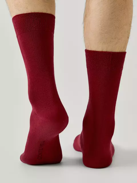 Классические мужские носки conte for men 000 бордо, 24С-148СП, 40-41 (25), CONTE,  - 2