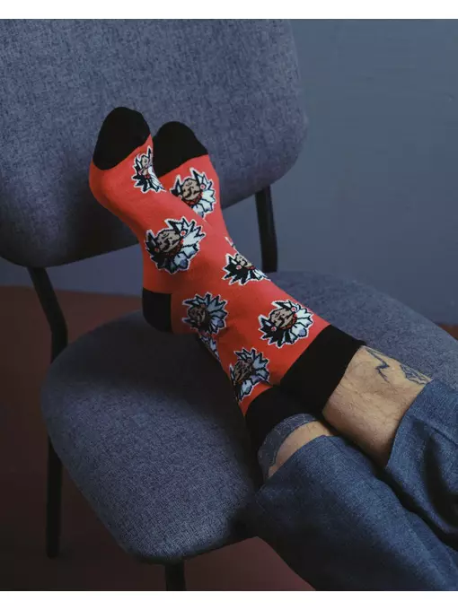 Хлопковые мужские носки happy с рисунком «индейцы» 144 красный, 20С-37СП, 42-43 (27), DIWARI,  - 4