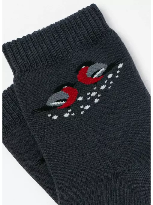 Носки женские махровые arctic 1408 брестские 600 т.серый, 15С1408, 36-37 (23), БРЕСТСКИЕ,  - 4