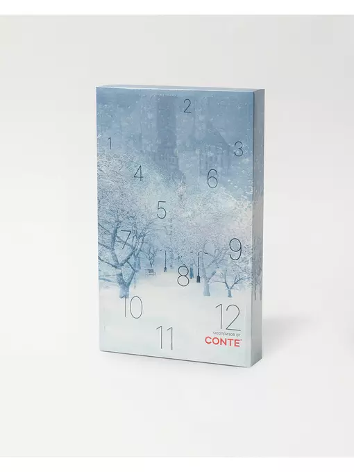 Подарочный набор женских носков (6 пар) conte 823 ассорти, 21С-76СП,24С-73СП, 36-39 (23-25), CONTE ELEGANT,  - 1