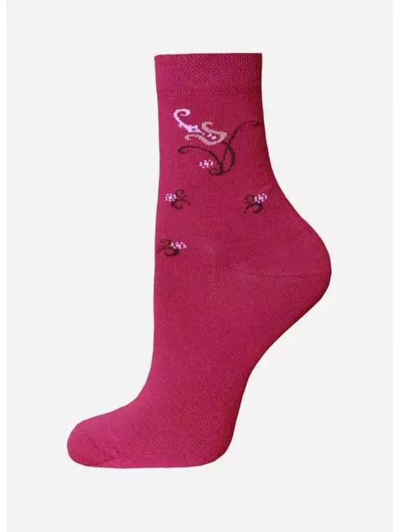 Носки детские с рисунком school 3081 брестские 046 т.бордовый, 14С3081, 21-22, БРЕСТСКИЕ,  - 1