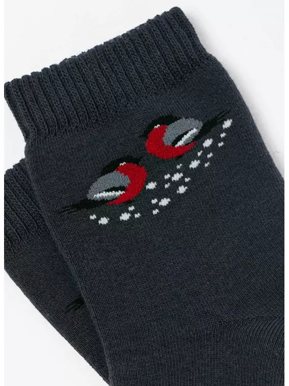 Носки женские махровые arctic 1408 брестские 600 т.серый, 15С1408, 36-37 (23), БРЕСТСКИЕ,  - 4