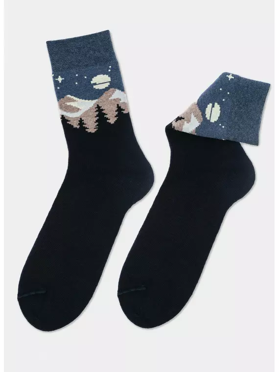 Носки мужские махровые arctic 2424 брестские 476 т.синий, 18С2424, 40-41 (25), БРЕСТСКИЕ,  - 2