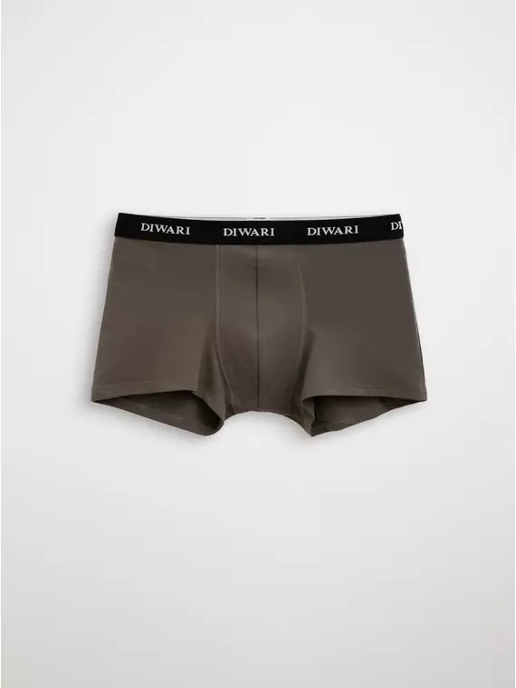 Мужские трусы шорты diwari msh 2147 khaki, 20С-1076ТСП, 110,114/XXL, DIWARI,  - 1