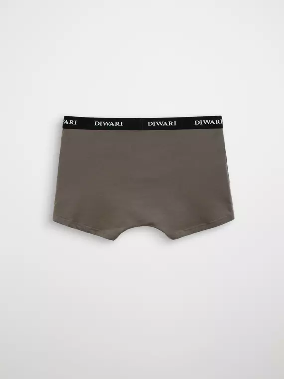 Мужские трусы шорты diwari msh 2147 khaki, 20С-1076ТСП, 110,114/XXL, DIWARI,  - 3