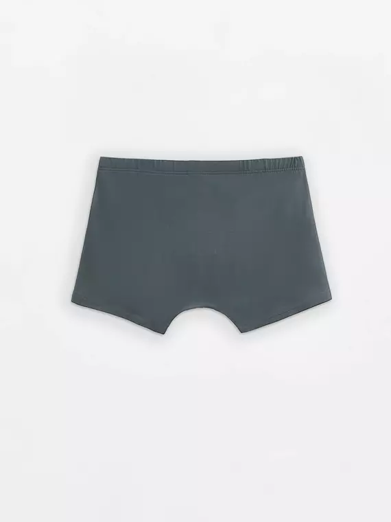 Трусы мужские diwari basic men msh 2127 dark forest, 20С-1073ТСП, 86,90/M, DIWARI,  - 3