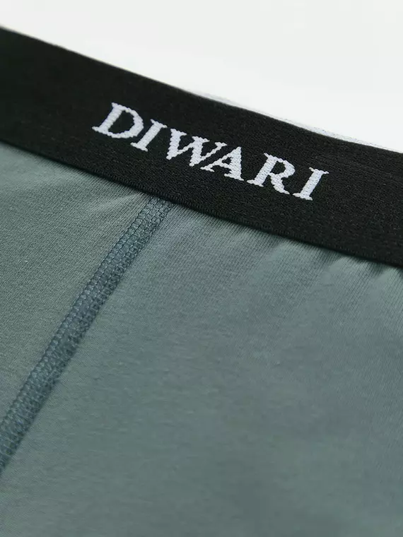 Трусы мужские diwari basic men msh 2147 stormy green, 20С-1076ТСП, 86,90/M, DIWARI,  - 2