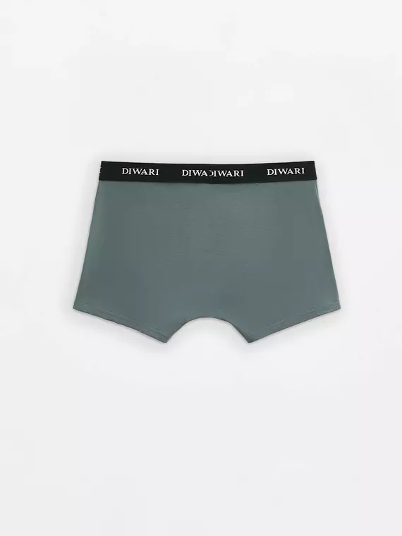 Трусы мужские diwari basic men msh 2147 stormy green, 20С-1076ТСП, 86,90/M, DIWARI,  - 3