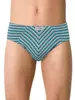 Трусы мужские DiWaRi BAND MSL 873 (в коробке) grey-sea green