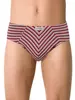 Трусы мужские DiWaRi BAND MSL 873 (в коробке) grey-bordo