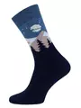 Носки мужские махровые arctic 2424 брестские 476 т.синий, , 40-41 (25), БРЕСТСКИЕ, - 1