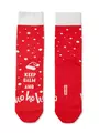 Новогодние мужские носки diwari new year «ho-ho» 519 красный, , 42-45 (27-29), DIWARI, - 1